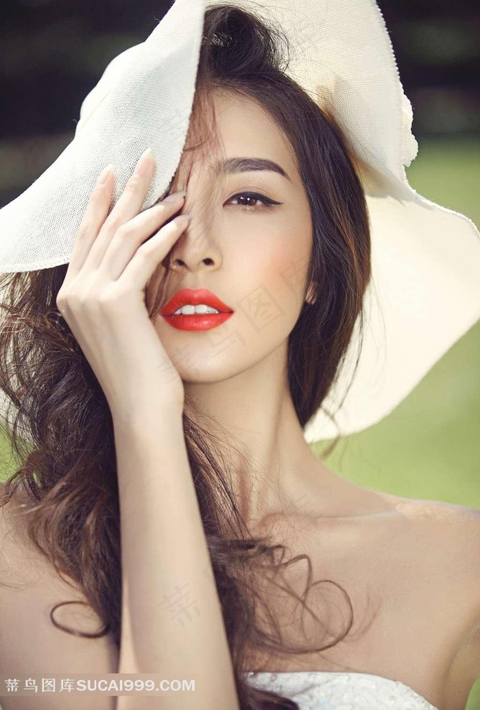 一条狗的使命电影