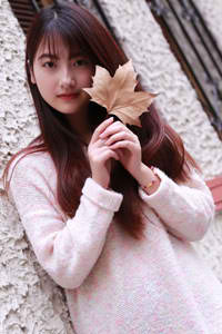 《山河令百度网盘1080p提取码》